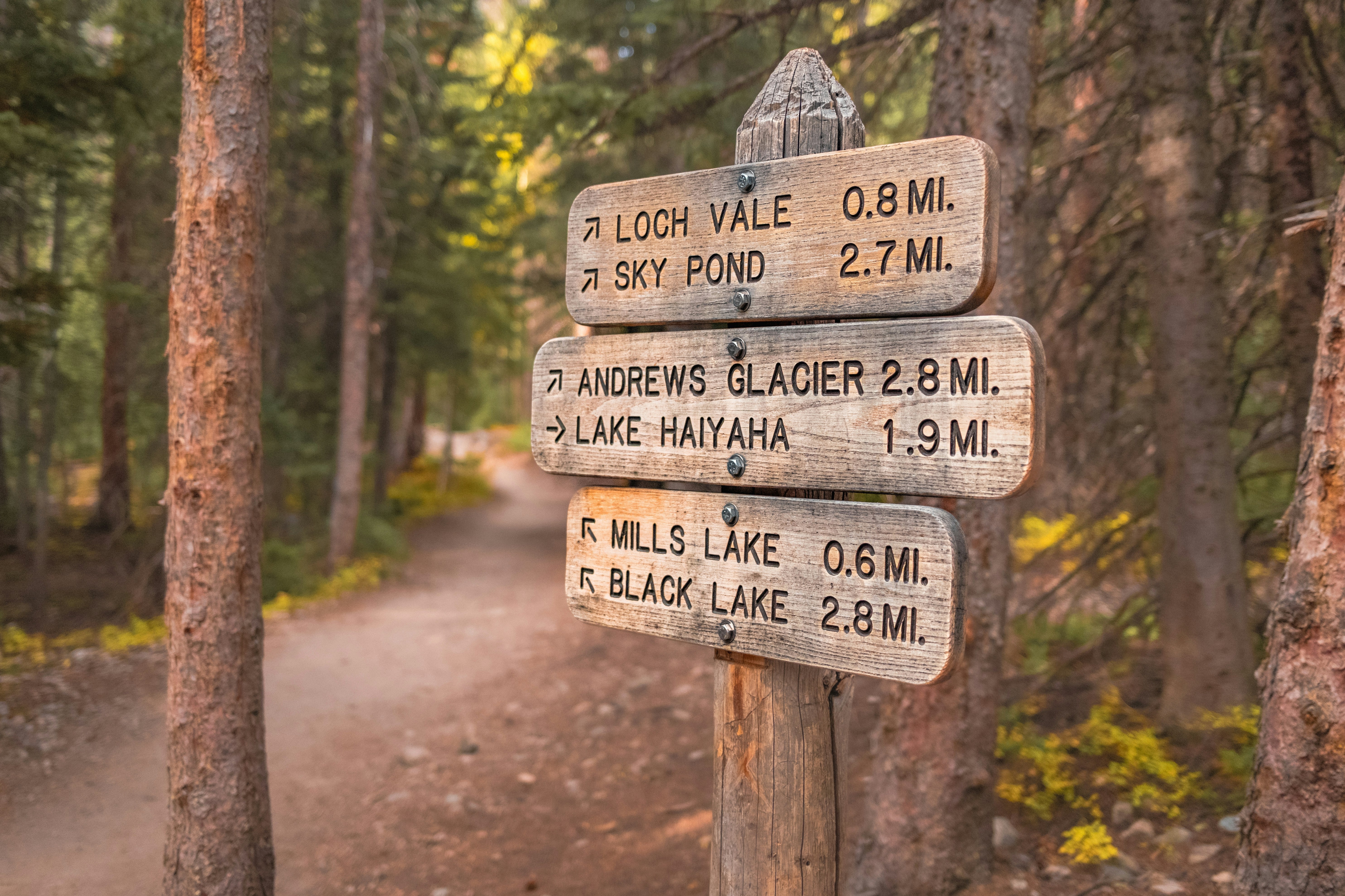 How to Navigate a Trailhead Like a Pro (Even if You’re New to It)