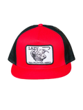 Lazy J Ranch Wear Willow Cap