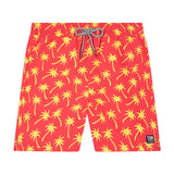 Tom & Teddy Men's Palm Swim Trunk