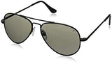 Randolph Concorde Sunglasses